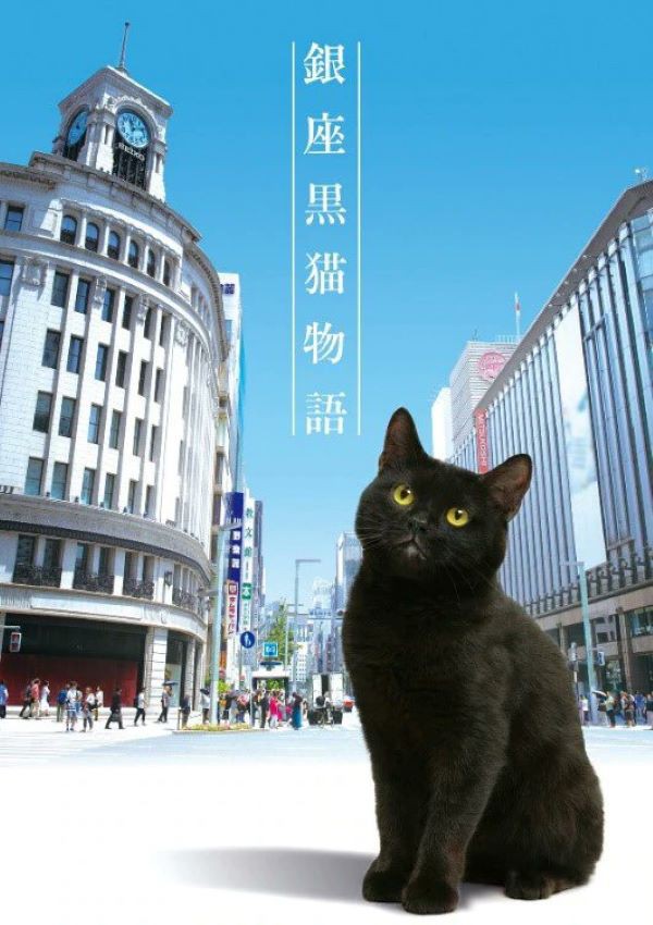 GINZA CAT แมวเหมียวกินซ่า (2020) 1-5 พากย์ไทย ตอนที่ 4