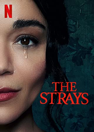 The Strays (2023) คนหลงทา