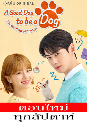 A Good Day to Be a Dog ซับไทย | ตอนที่ 1-14 (จบ) ตอนที่ 3