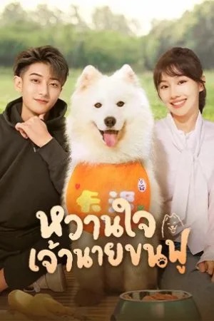 หวานใจเจ้านายขนฟู [บรรยายไทย] 1-40จบ